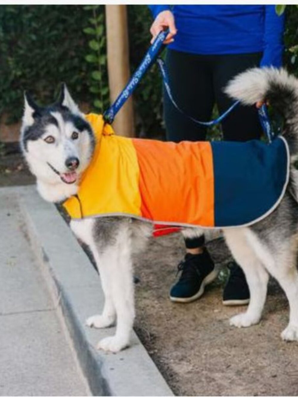 Eddie Bauer PET Ravenna Waterproof Dog Windbreaker